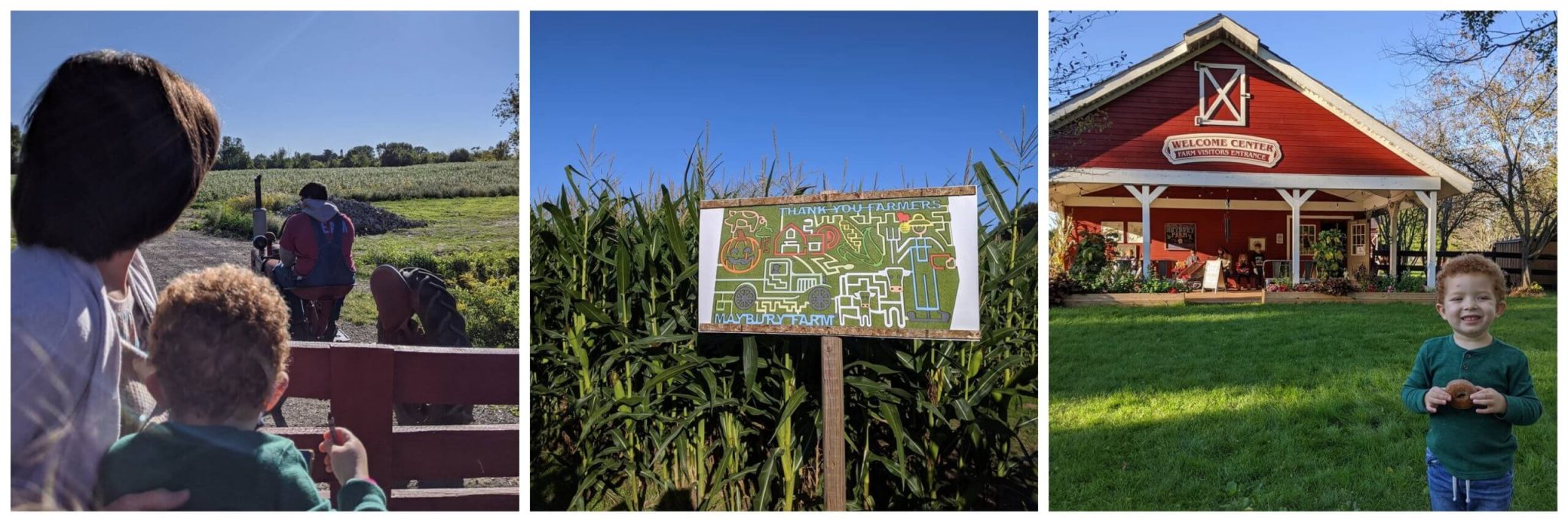 5 Reasons to Visit Maybury Farm LittleGuide Detroit