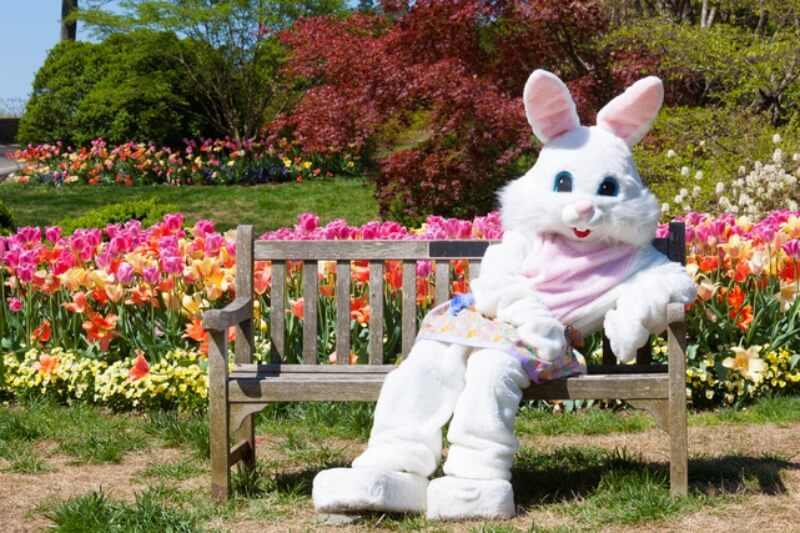 Easter Events & Egg Hunts in Metro Detroit this Weekend – LittleGuide  Detroit