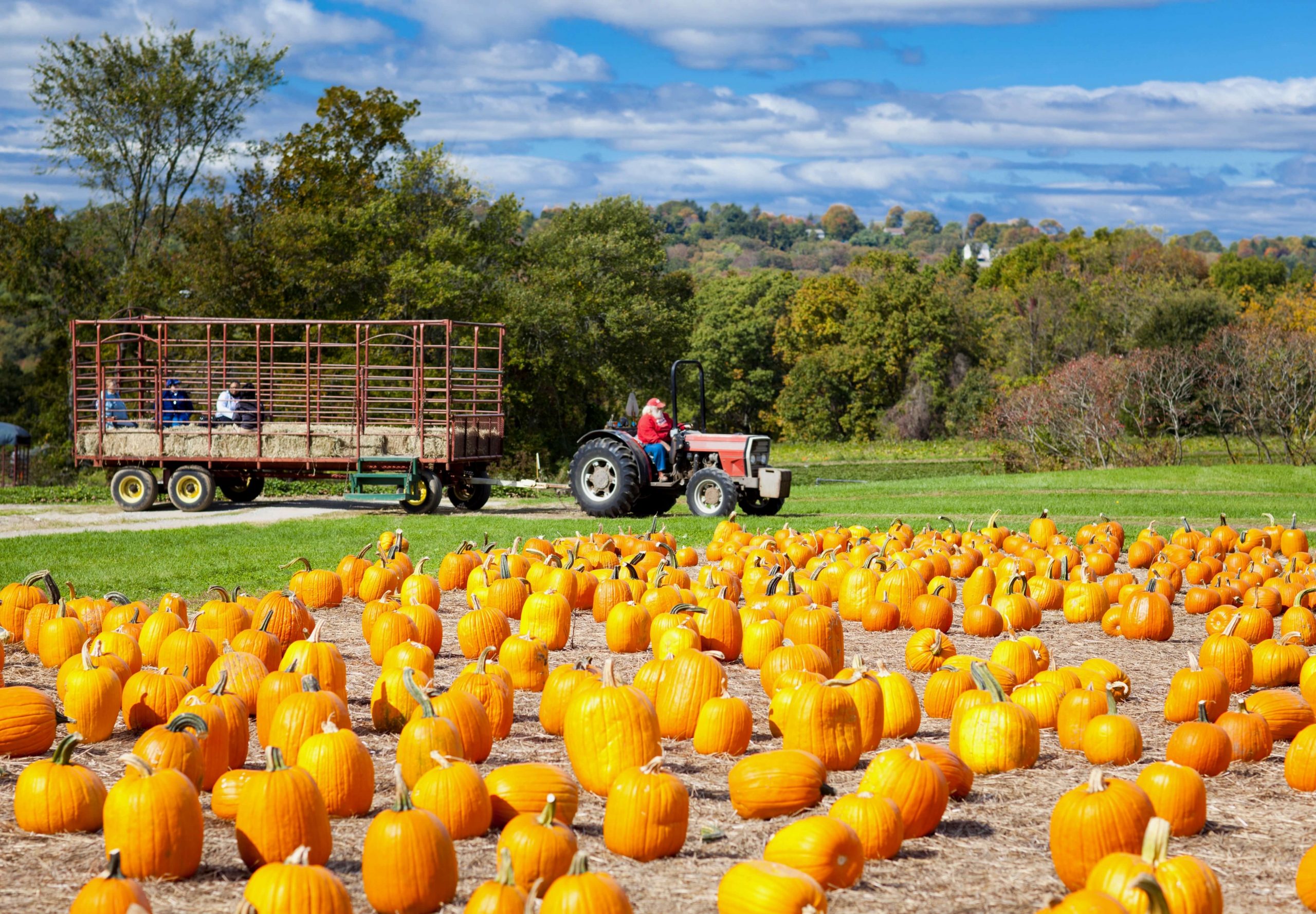 Wagon Tours & Hayrides in Metro Detroit - LittleGuide Detroit