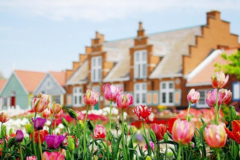 Plan A Trip To Holland For Tulip Time This Spring LittleGuide Detroit