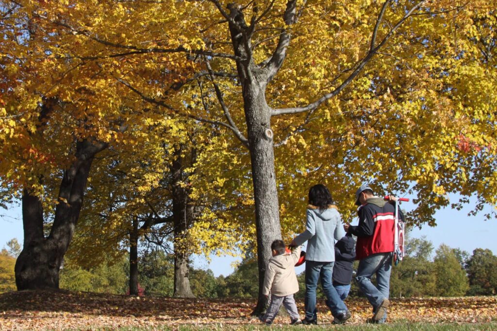 https://www.metroparks.com/wp-content/uploads/2021/08/PG_0005_HuronMeadows.jpg