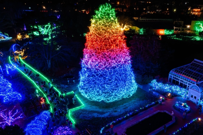 Toledo Zoo Lights Before Christmas 