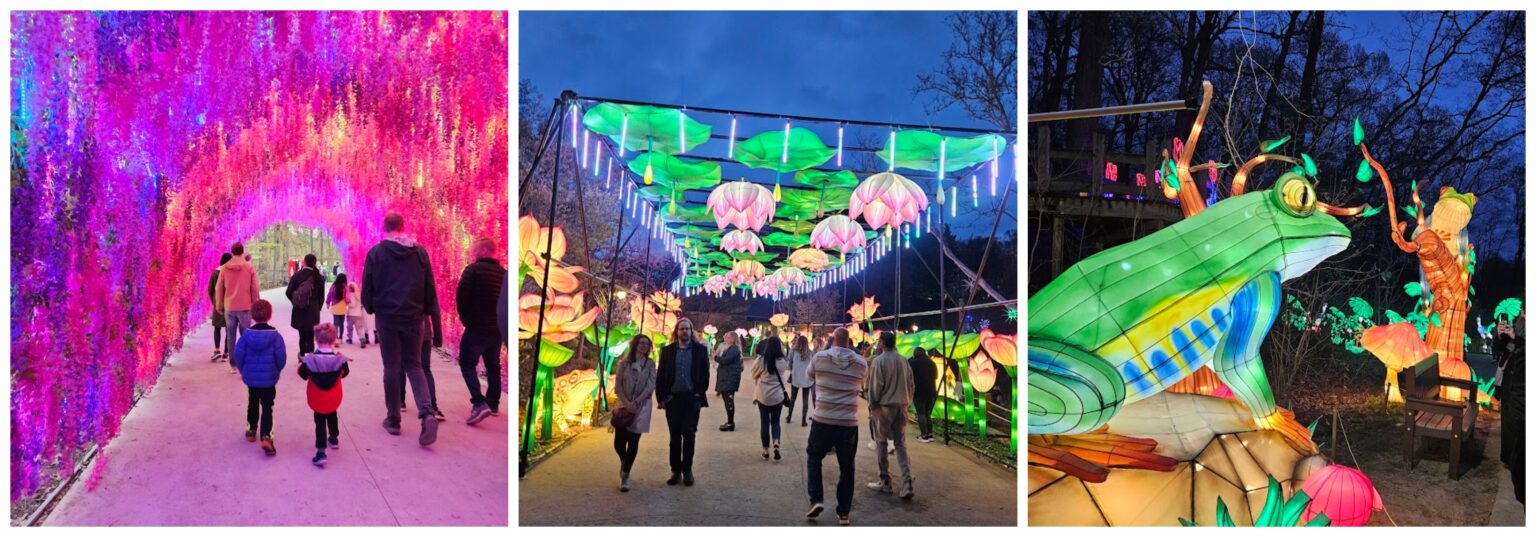 Don’t Miss The Grand Rapids Lantern Festival LittleGuide Detroit