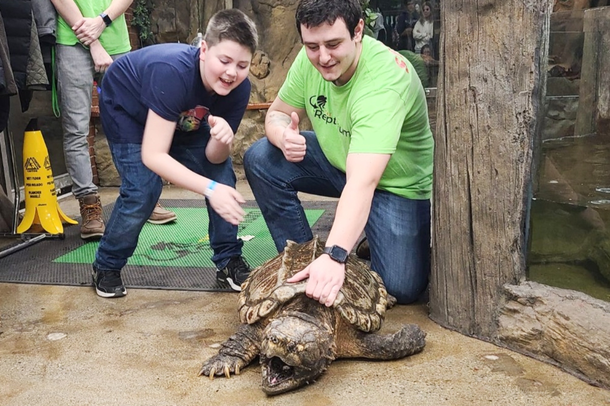 The Reptarium Extends Its Hours LittleGuide Detroit