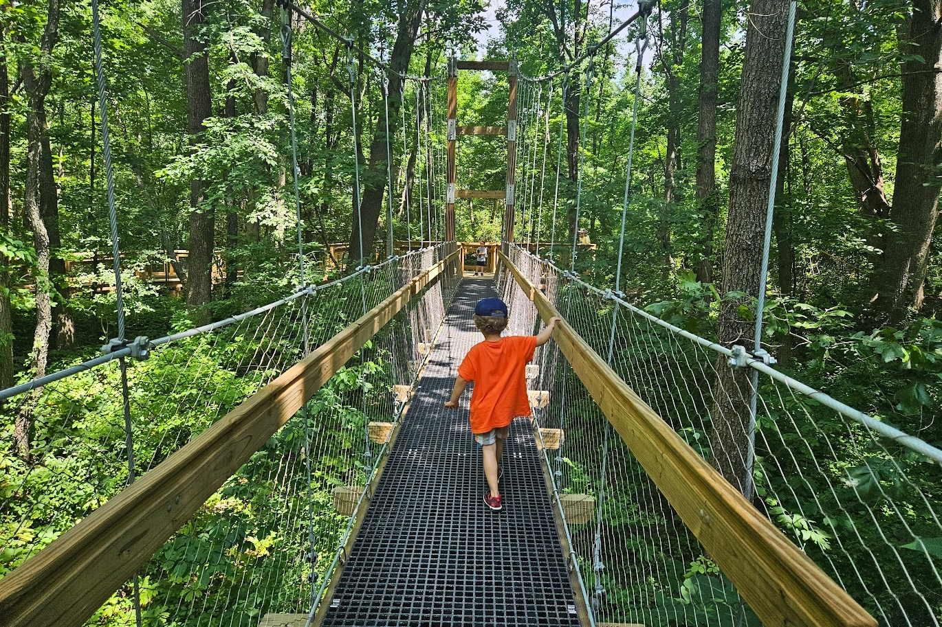 check-out-the-new-canopy-walk-at-msu-s-hidden-lake-gardens