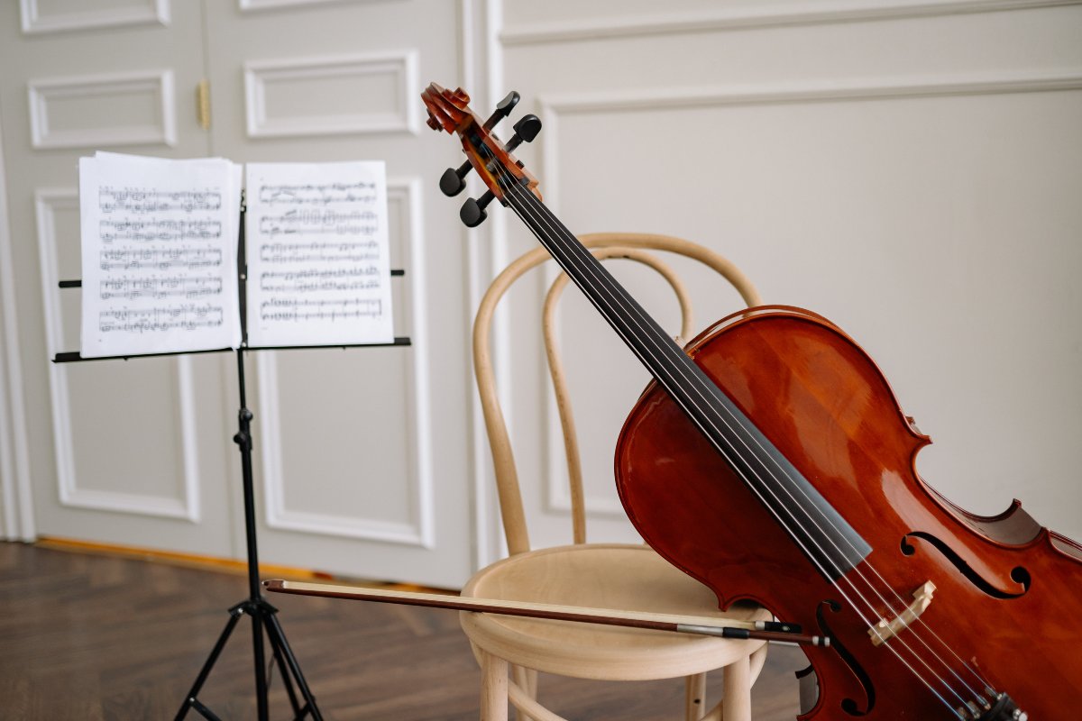 https://www.pexels.com/photo/close-up-shot-of-a-cello-8519627/