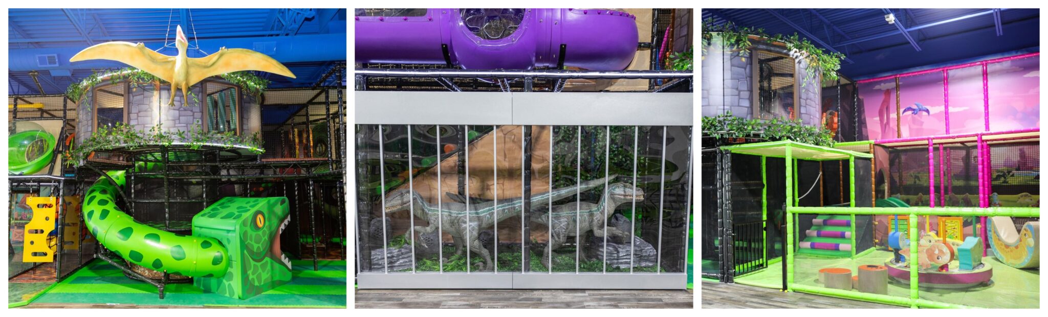 Dinoland Opens Second Location In Madison Heights LittleGuide Detroit