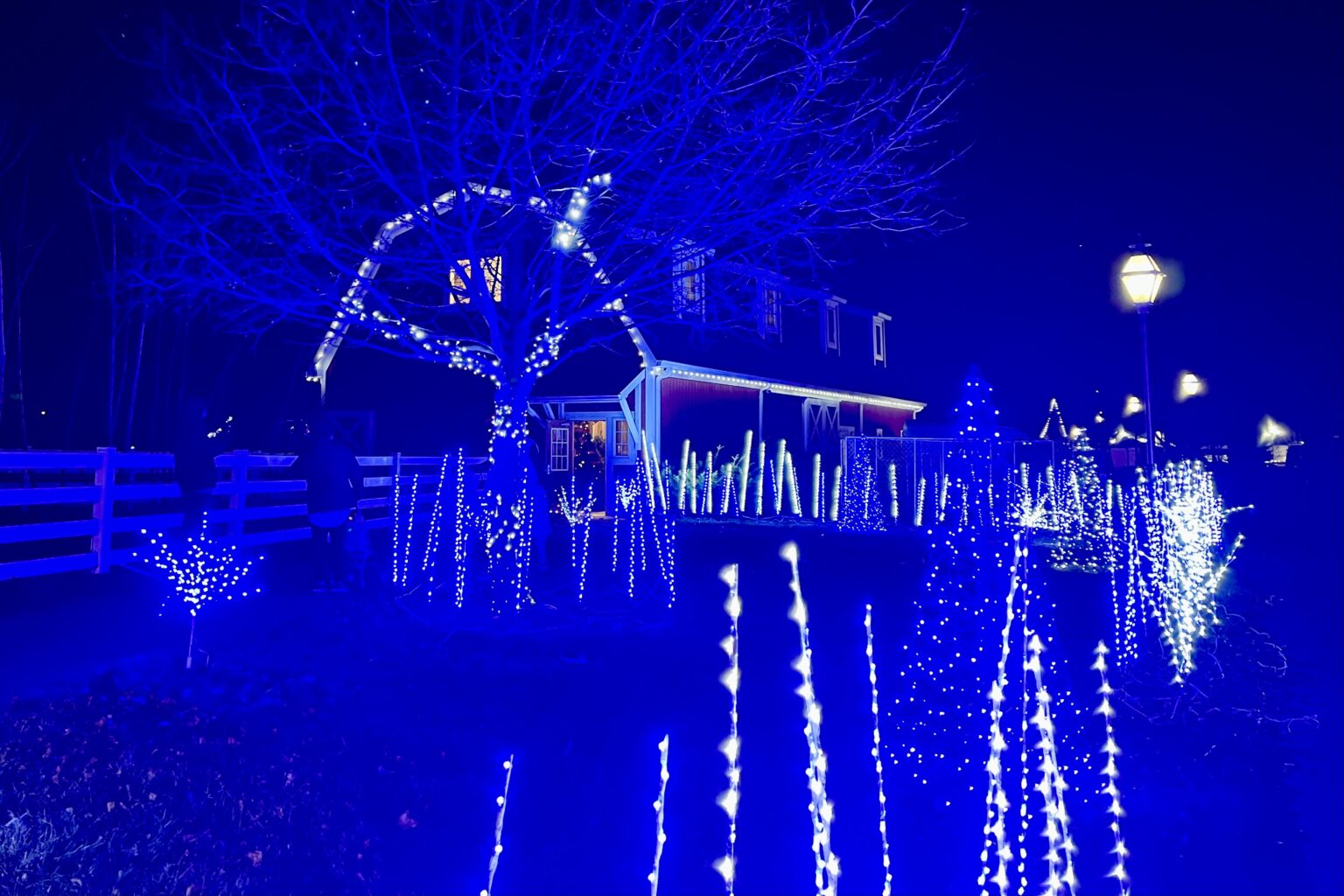 TAYLOR WINTERFEST & STROLL HAPPENING THIS WEEKEND - LittleGuide Detroit