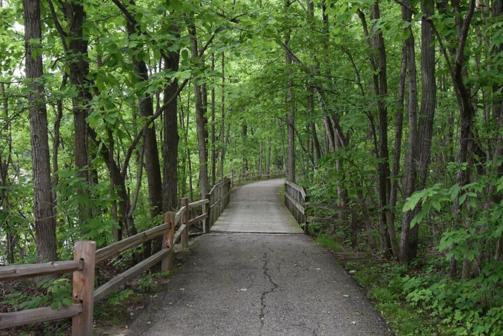 Outdoor Adventure Kids