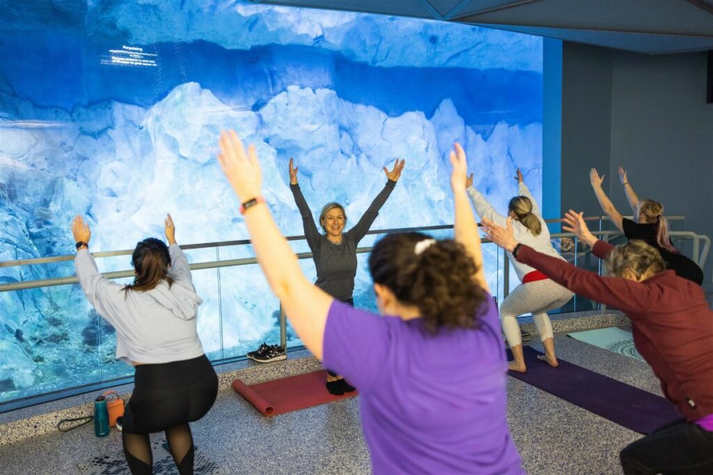 Winter Yoga At The Zoo
