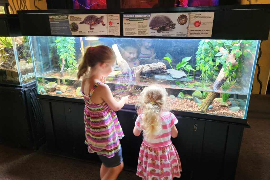 Nights at the Living Museum