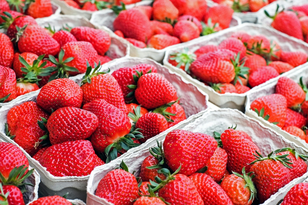 https://www.pexels.com/photo/red-strawberry-fruits-106148/