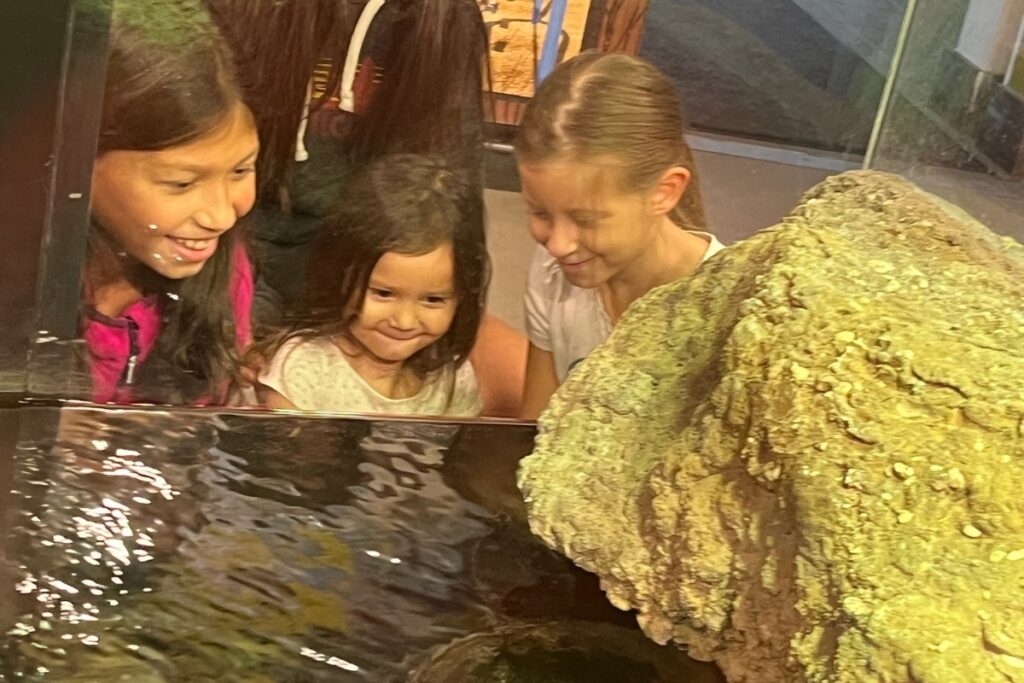 Sensory Reptile and Amphibian Encounter