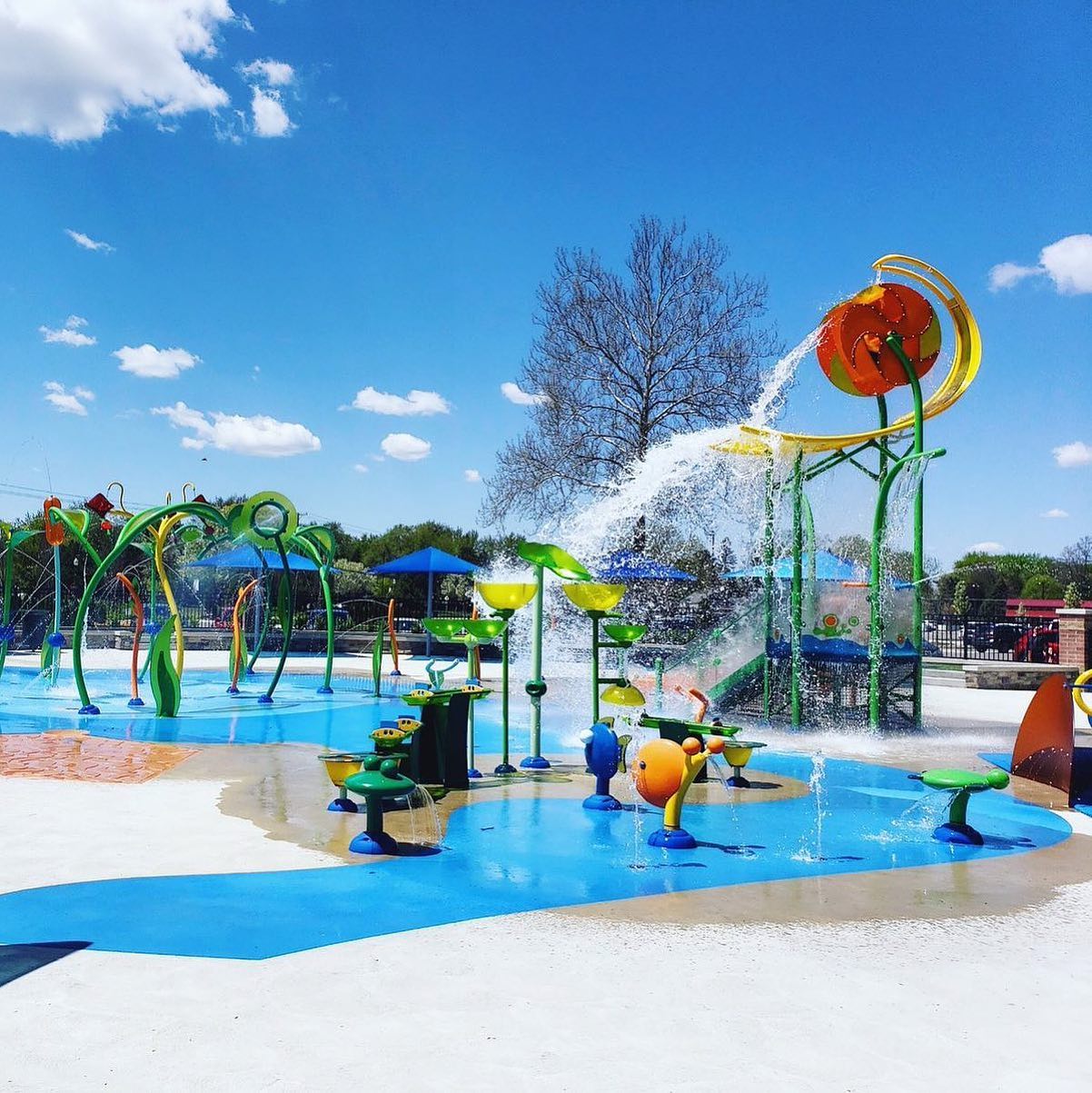 Summer Guide to Dodge Park in Sterling Heights - LittleGuide Detroit