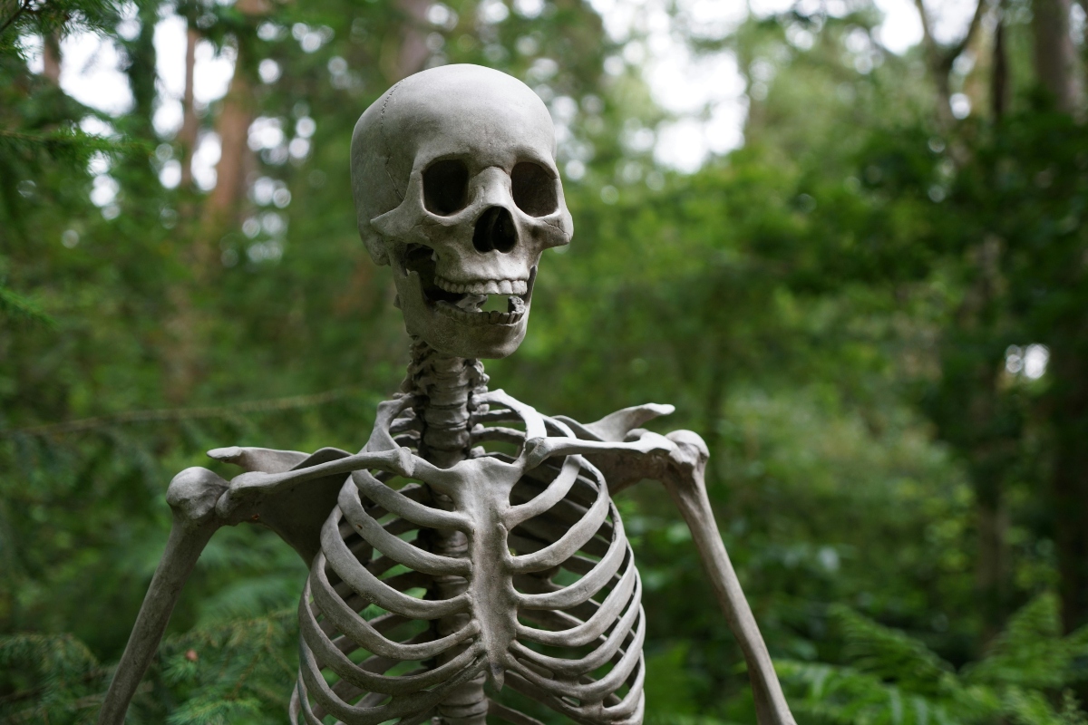 Skeleton For Map The Great Skeleton Scavenger Hunt - LittleGuide Detroit