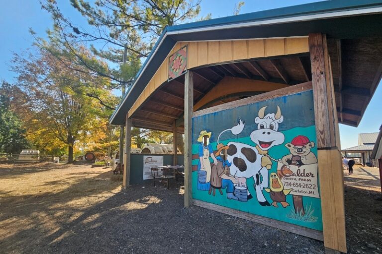 Take A Trip To Calder Dairy & Farm For A Sweet Treat and Animal Visit ...