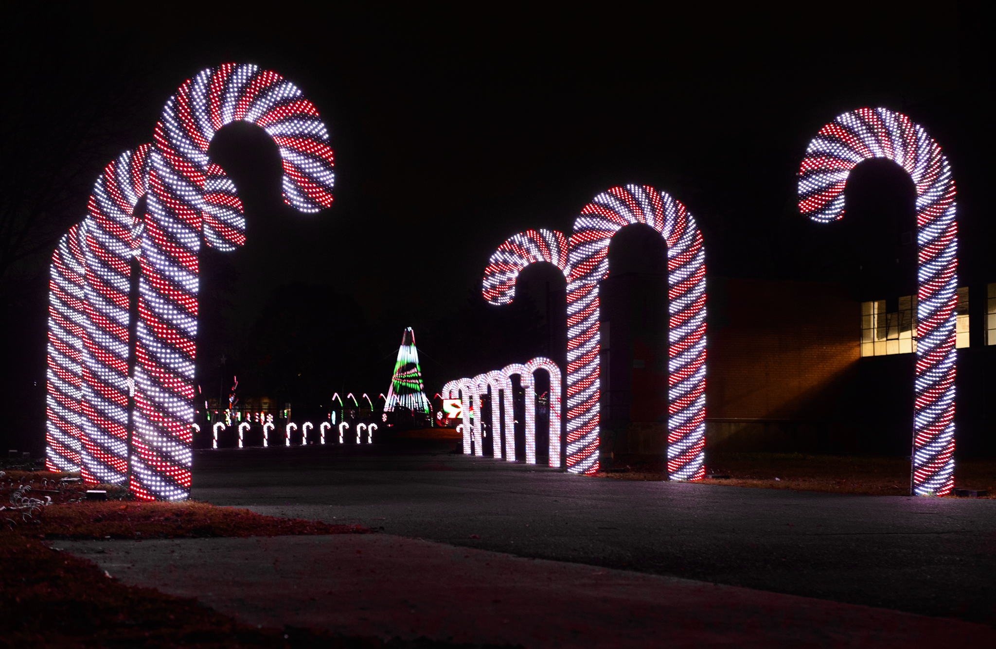 Don’t Miss This NEW Holiday Light Show In Metro Detroit LittleGuide