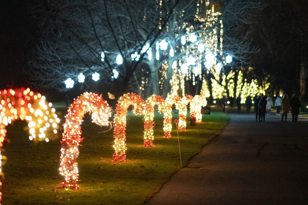 Photo credit John Martin