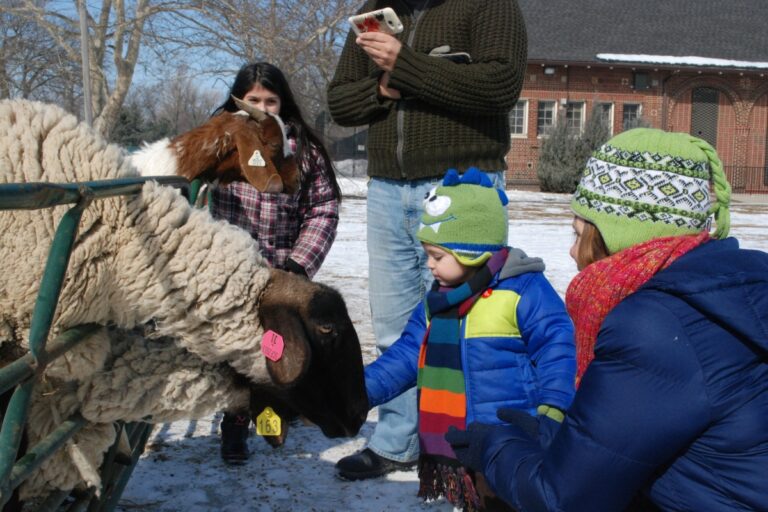 2025 Clark Park Winter Carnival & Hockey Classic LittleGuide Detroit