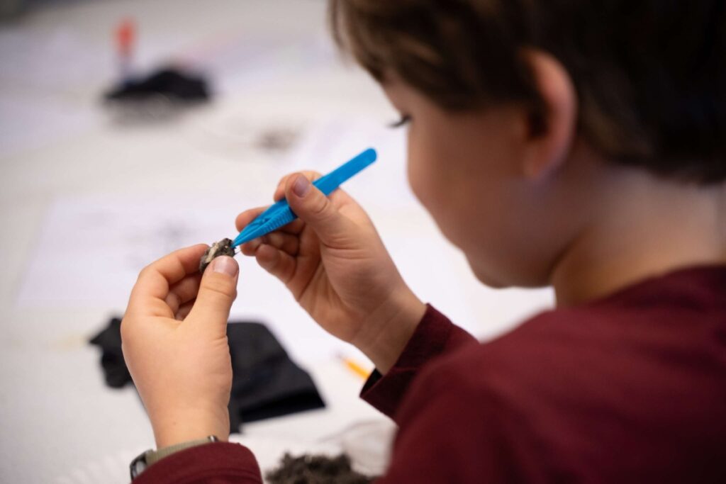 Homeschool Series: Stony Creek