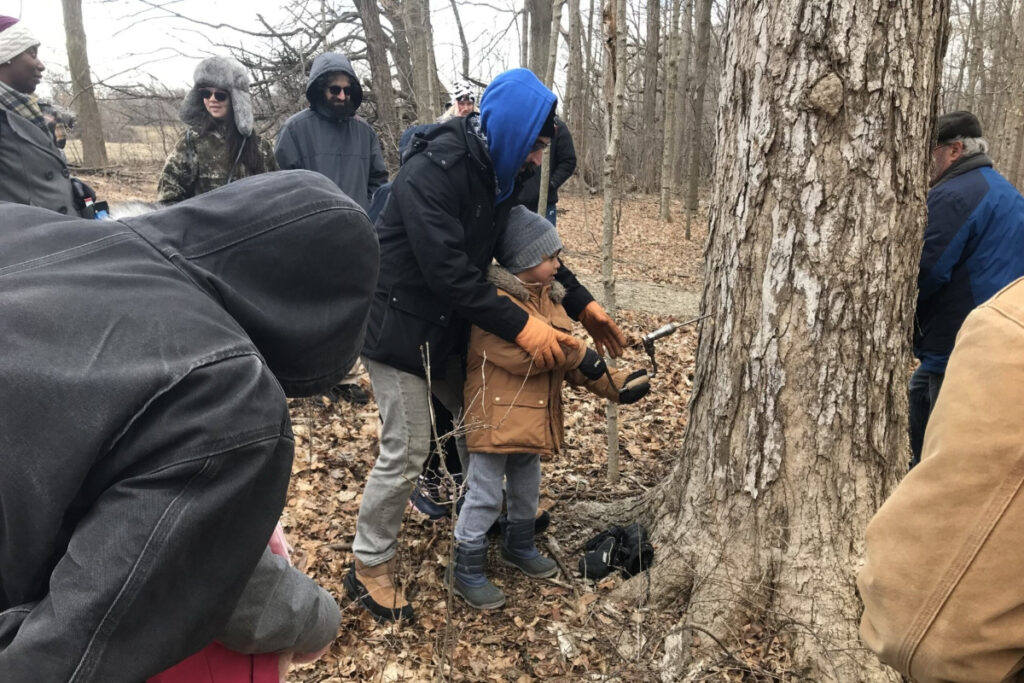 Wayne County Parks
