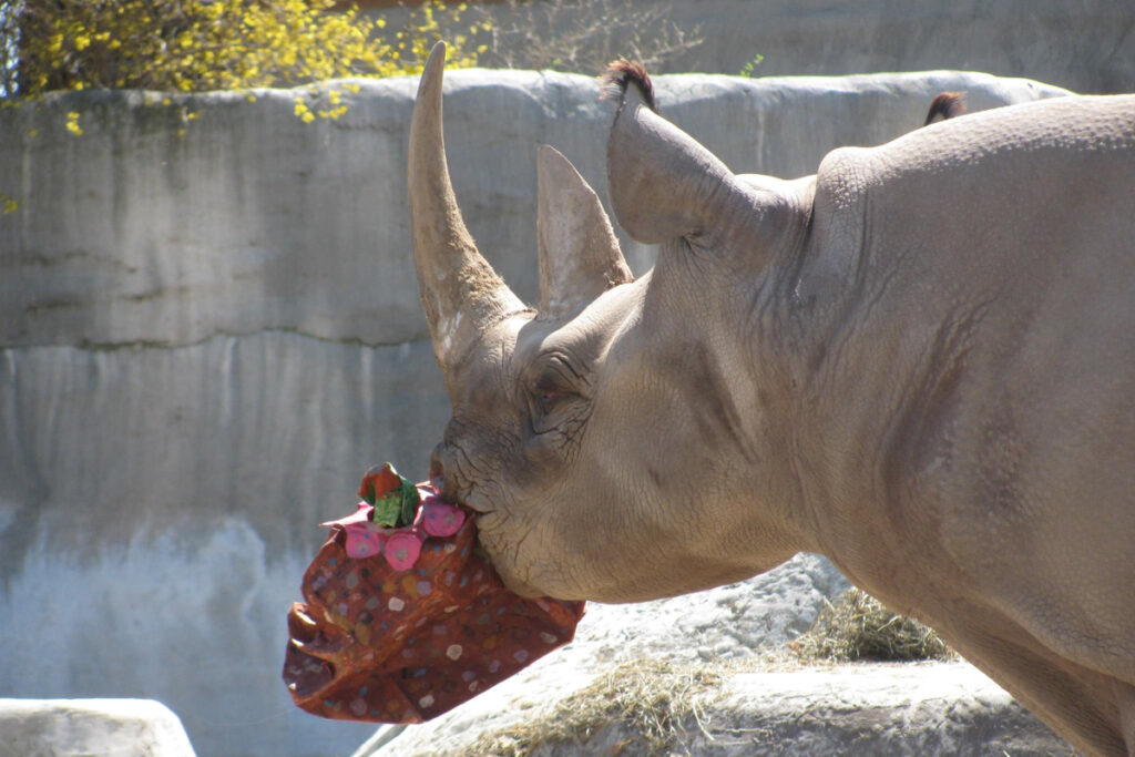 Earth Day Celebration