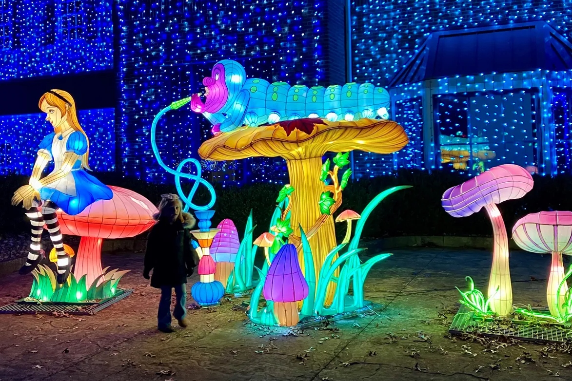 NEW: Experience The Wonderland Lantern Stroll At Canterbury