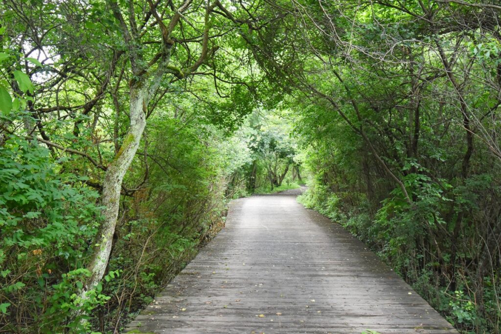 Signs of Spring Hike