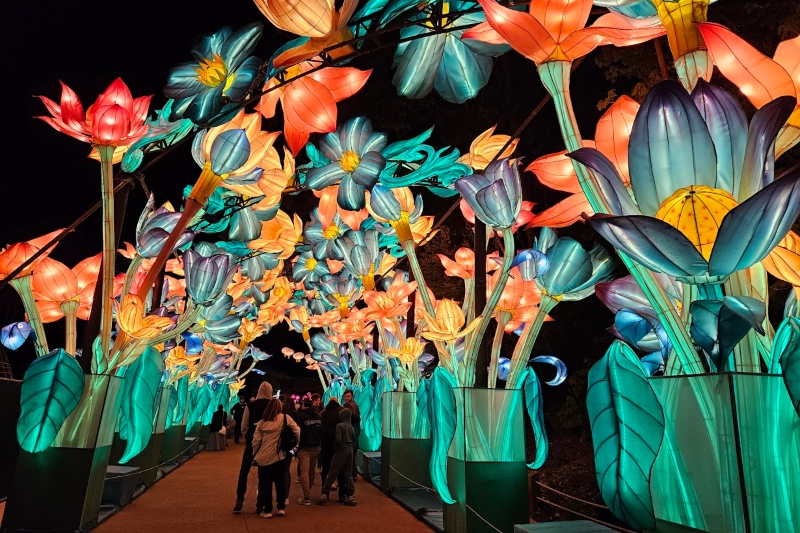 Don't Miss The Grand Rapids Lantern Festival at John Ball Zoo