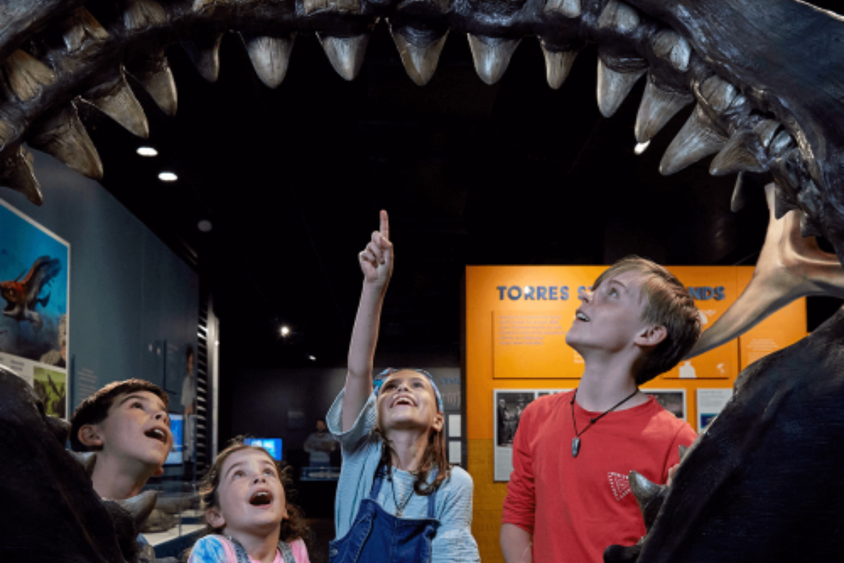 https://www.grpm.org/sharks/