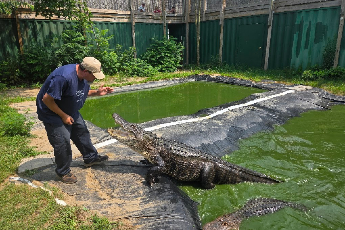 Head To Allegan Event for Michigan s LARGEST Indoor Ropes Course