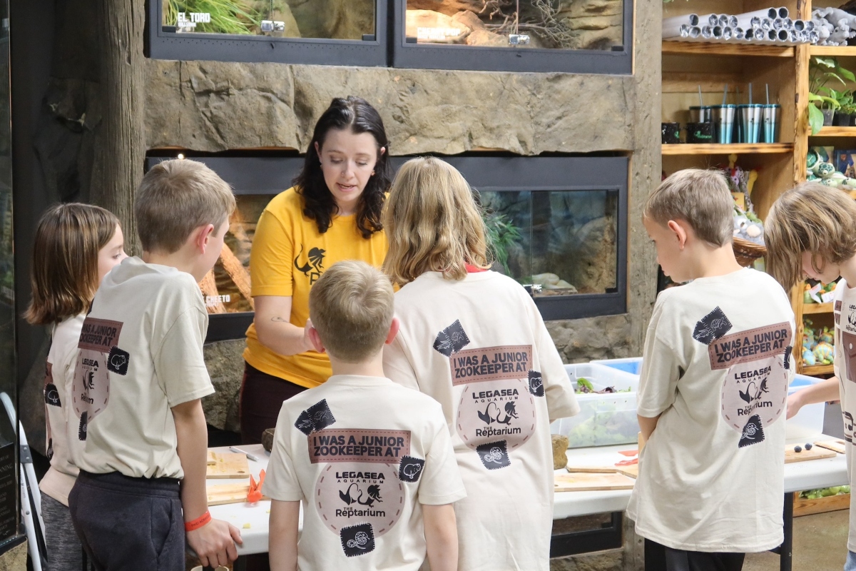 Junior Zookeeper LittleGuide Detroit