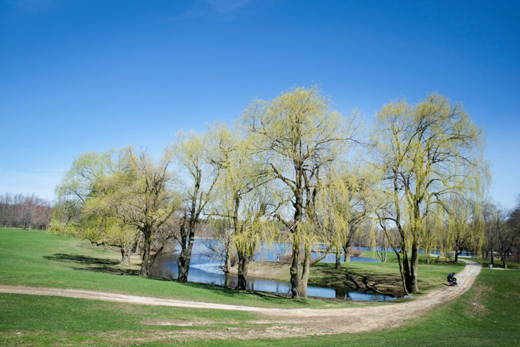 Homeschool Program, Earth Day