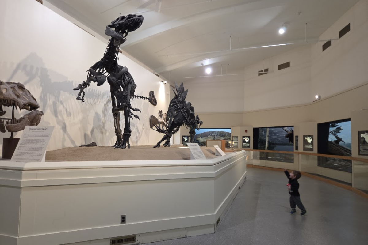 MSU Reopens it’s FREE Museum