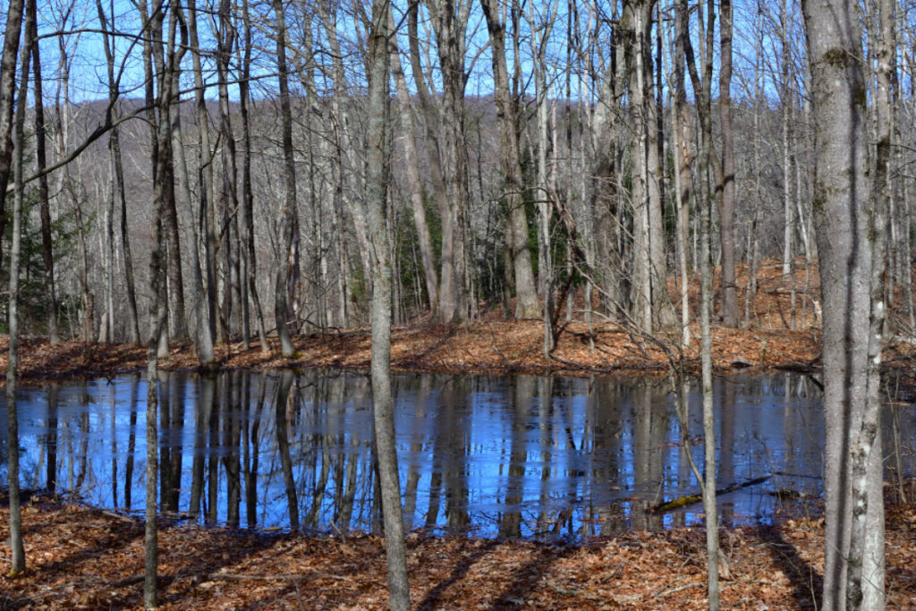 Outdoor Explorers: Watersheds PART 2
