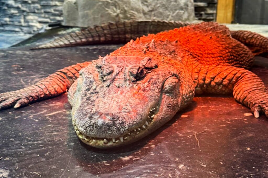 Find Spring Break Fun at LEGOLAND Discovery Center Michigan ...