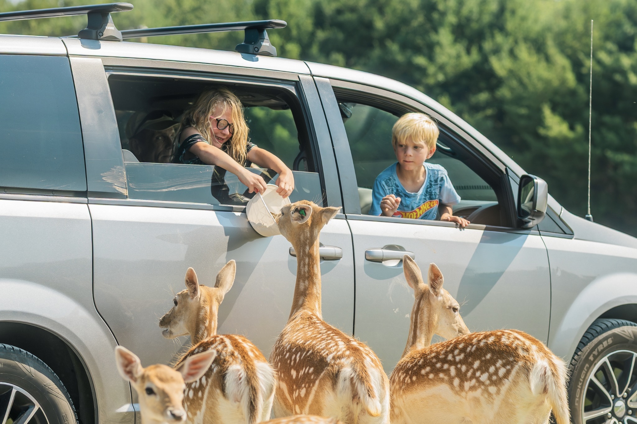 Best Places to See, Feed & Hold Unique Animals in Metro Detroit (and ...