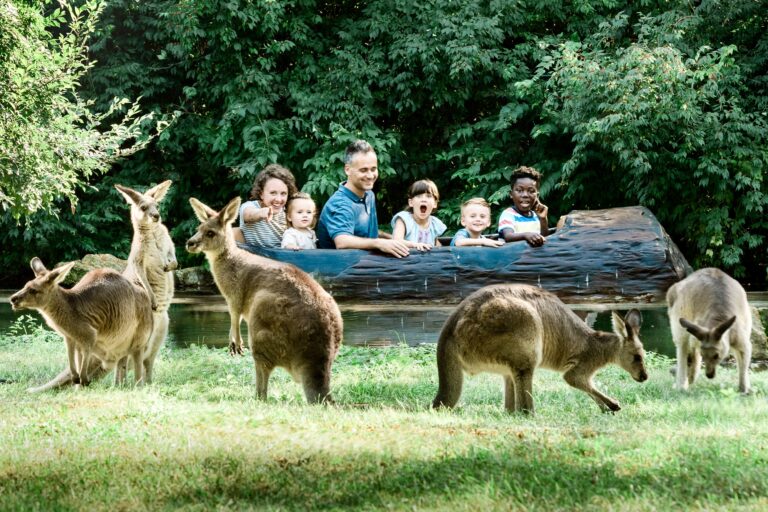 10 Kid-Friendly Reasons for Fort Wayne