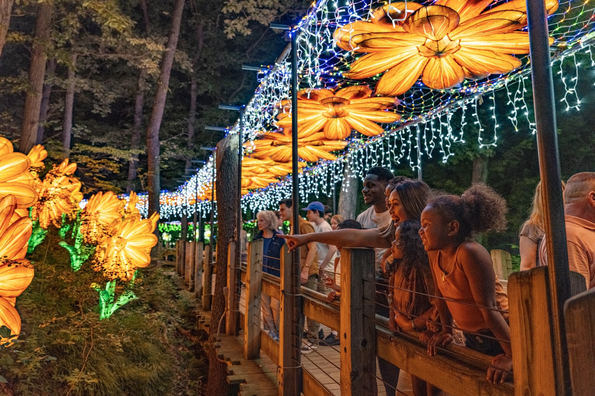 Grand Rapids Family Guide: A Must-Visit Summer Getaway - 2026