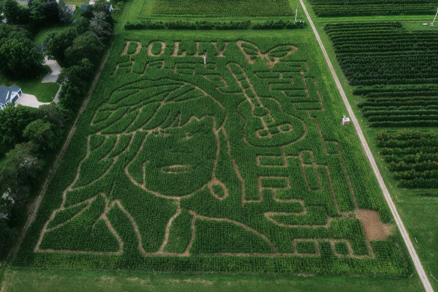 Dolly Parton-Themed Corn Maze Coming to Robinette’s in Grand Rapids